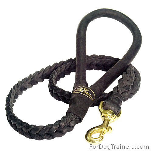 braided leash dog